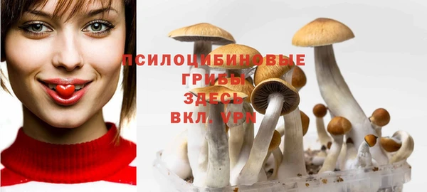 mix Абинск