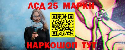 наркотики Кингисепп