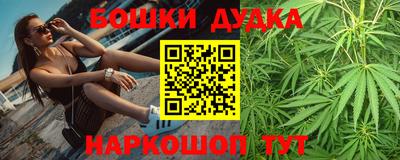 наркотики Кингисепп